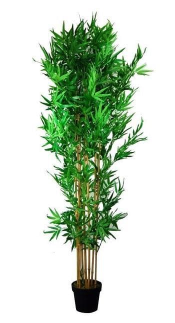 Miloo :: Sztuczny kwiat Bamboo wys. 215 cm
